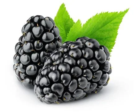 Two isolated blackberries with leaf Stock Photos