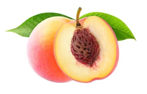 Two isolated peaches Stock Illustration