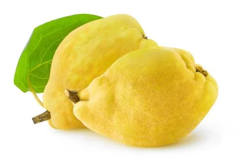 Two isolated quince Foto stock