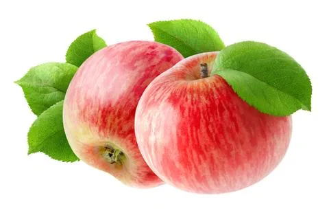 Two isolated red apples Stock Photos