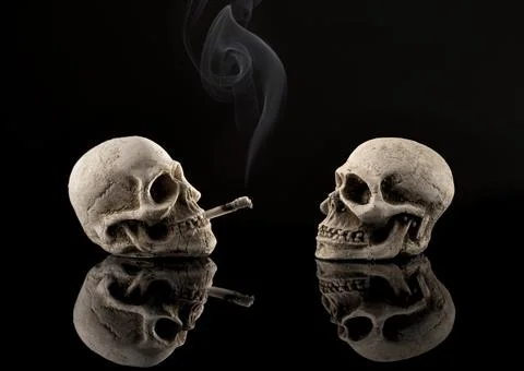 Two isolated skulls facing each other while one of them is smoking a cigarette. Stock Photos