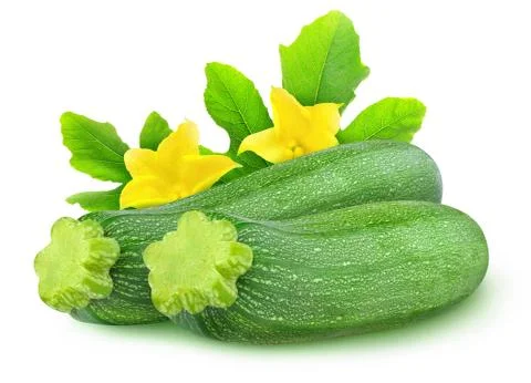 Two isolated zucchini Stock Photos