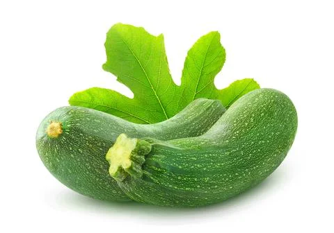 Two isolated zucchini Stock Photos