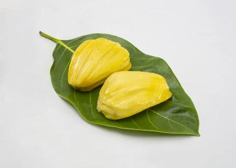 Two jackfruit core on white background. Popular sweet summer refreshing fruit Stock Photos