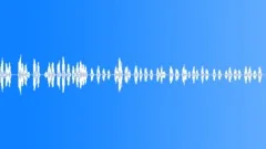 Two Jays SquawkingSound Effect