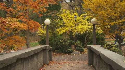 Two Joggers in Park Stock Footage 35326843
