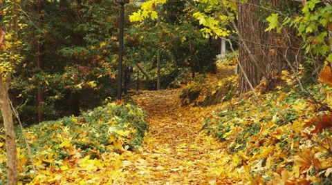 Two Joggers Running Down Park in Autumn Stock Footage 35329178