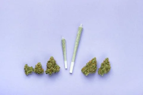 Two joints of different sizes made of transparent white paper lie among dry b Stock Photos