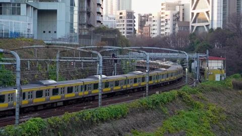 Two JR Trains Passing on Parallel Tracks in Tokyo Stock-Footage 313658965