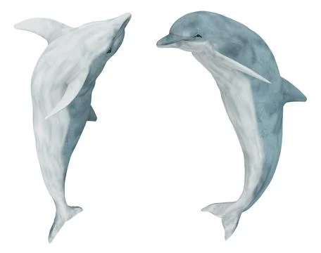 Two jumping dolphins Stock Illustration