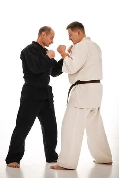 Two karate masters Stock Photos