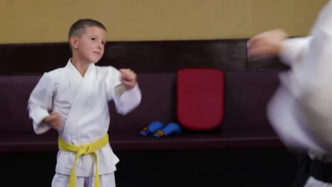 Two karategi athletes perform punches towards each other Stock Footage 341663629