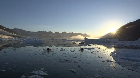 Two kayakers sailing in the Arctic Ocean in the sunlight, Greenland Video stock 103512044