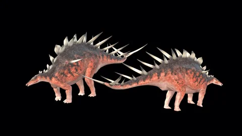 Two Kentrosaurus Dinoraul Stock Footage 321230854