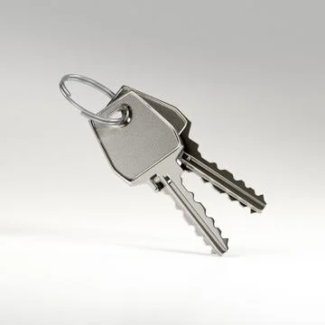 Two keys on a ring Stock Illustration