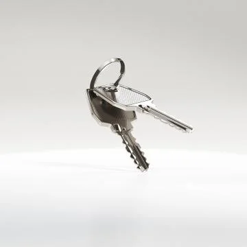 Two keys on a ring. Stock Illustration