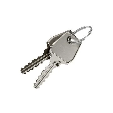 Two keys on a ring Stock Illustration