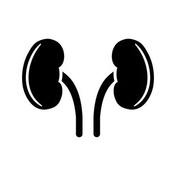 Two kidneys icon in flat style. Stock Illustration