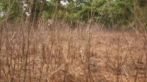 Two kids crossing a feild in a n Indian Village Stock Footage 55444452