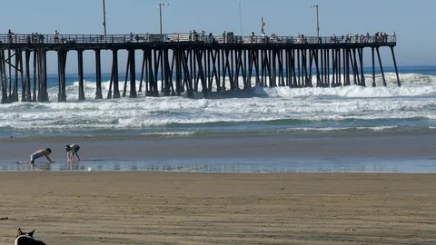 Two Kids Play in Sand Next to Pier Video stock 78060873