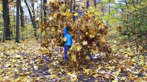 Two kids playing with leafs in the forest Stock Footage 31980294