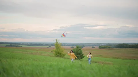Two kids share joyful moment guiding vibrant kite in countryside, Two children Stock-Footage 325331992