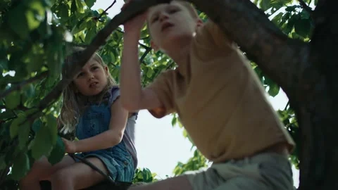 Two kids sitting on the tree in summer day Stockbeeldmateriaal 196978100