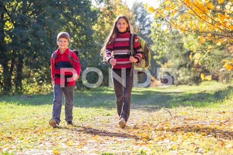 Two kids walking on autumn forest with backpacks Stock Photos