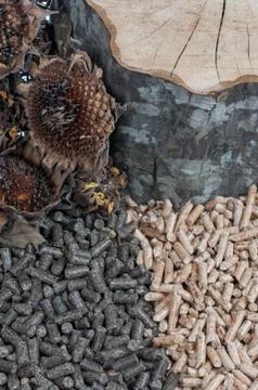 Two kind of pellets Stock Photos