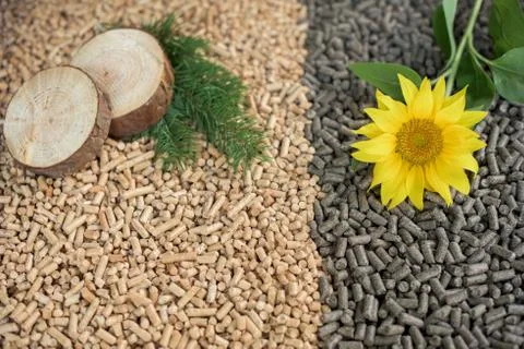 Two kind of pellets Stock Photos