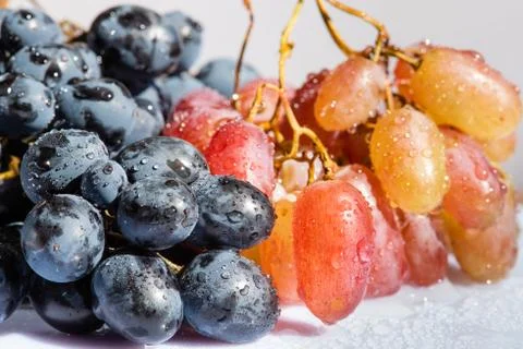 Two kinds of grape in studio close up Stock Photos