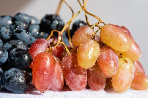 Two kinds of grape in studio close up Stock Photos