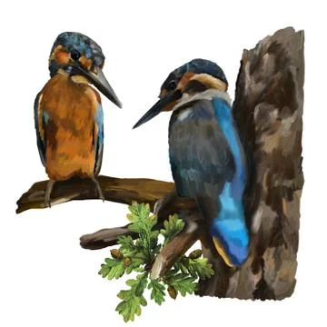 Two kingfishers on a branch Stock-Illustration