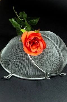Two kitchen sieves with red rose on black background, decoration Foto stock