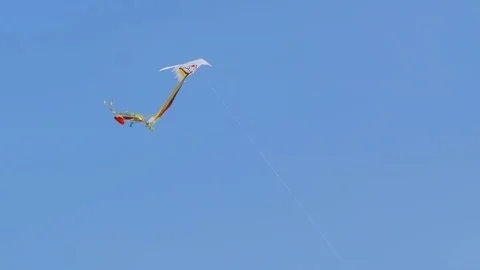 Two kites butterfly in the wind. Video stock 78059966