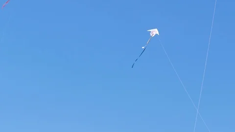 Two kites fly next to each other against a blue sky Stock Footage 123581074