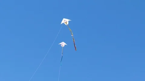 Two kites fly next to each other 스톡 동영상 123581183