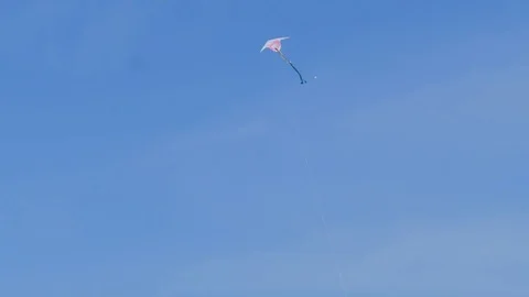 Two kites fly in the wind Stock Footage 78059981