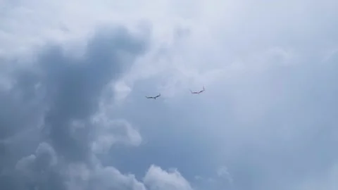 Two kites flying in the overcast sky with clouds, drammatic atmosphere Stock Footage 152008223