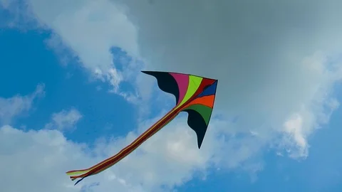 Two kites play with the wind 库存影片 113273877