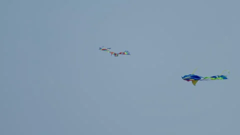 Two kites in the sky. Stock Footage 273992449