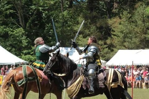 Two Knights on Horseback Stock Photos