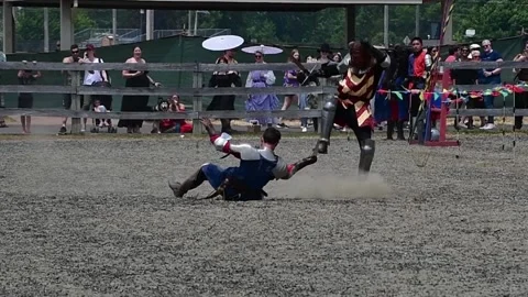 Two knights sword fight Stock Footage 243935326