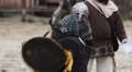 Two knights sword fighting in steel armor. Reenactment of historical tournament HD Footage