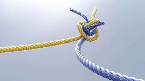 Two knotted cords, 3D Rendering Stock Illustration