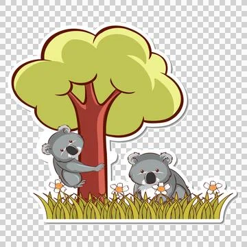 Two Koalas Playing Under Tree イラスト素材