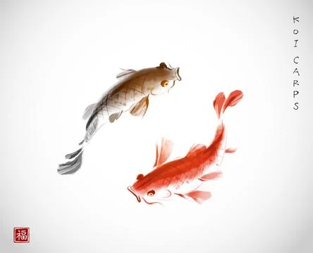Two koi carps on white background. Traditional oriental ink painting sumi-e, u Illustrazione stock