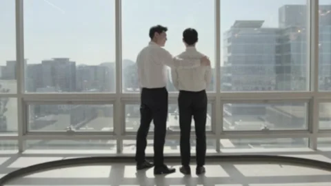 Two Korean Businessmen Facing Each Other by Bright Office Window Stock-Footage 338046210