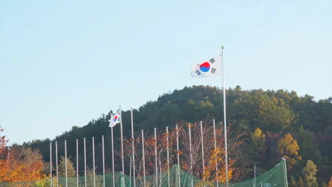 Two Korean Flags Waving in the Wind Stock Footage 275899299