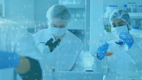 Two lab researchers right lifting flasks to compare, left at microscope typing Stock Footage 330427230